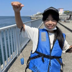 さかなちゃん日記 大蔵海岸編