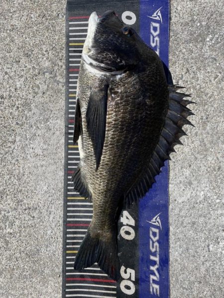 姫路大爆釣‼️…