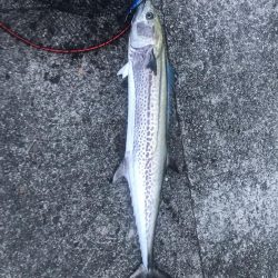 おっちゃんの名にかけてw。