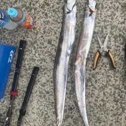 本日も絶好釣(^^)