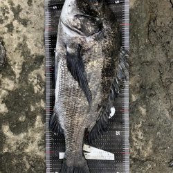 イチノ兄弟、釣果!