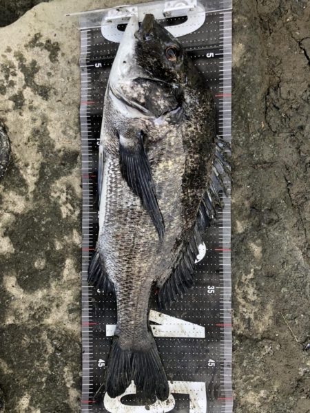 イチノ兄弟、釣果!