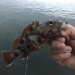 ガッシーと小オオモン