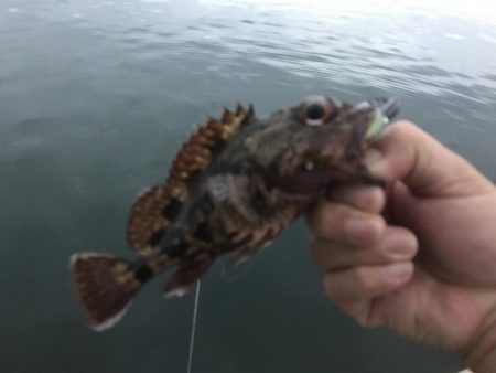 ガッシーと小オオモン