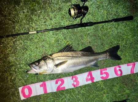 ががっときました。