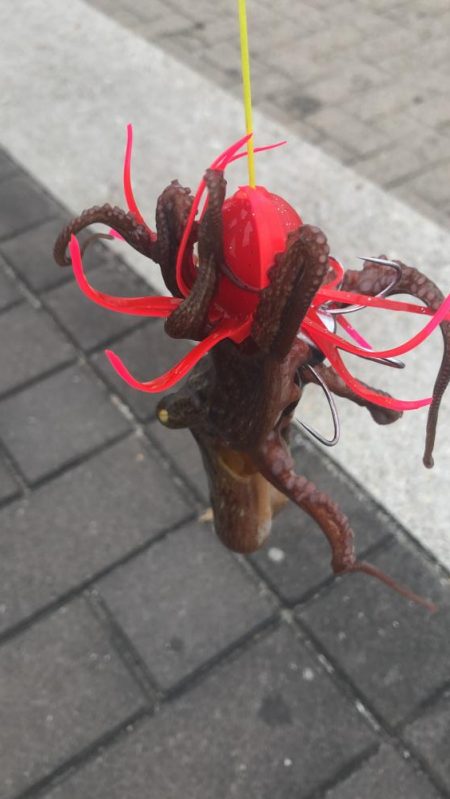 曇り空のシーサイド