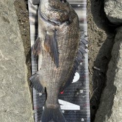 姫路65匹‼️大爆釣!