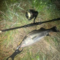 チーバスでした。