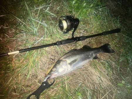 チーバスでした。