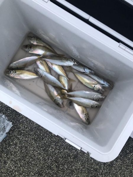 美味しいアジ南蛮が待っている♪