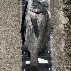 イチノ兄弟、釣果！