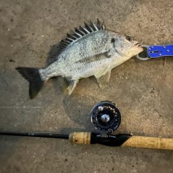 半夜で落とし込み