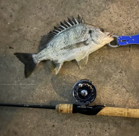 半夜で落とし込み