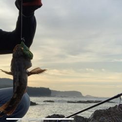 3年ぶりに釣りに行きました