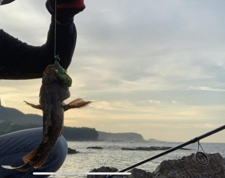 3年ぶりに釣りに行きました