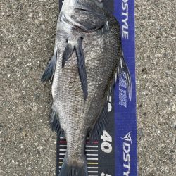 イチノ兄弟、釣果！