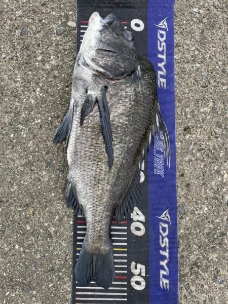 イチノ兄弟、釣果！