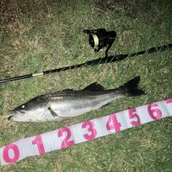 ががっときました。