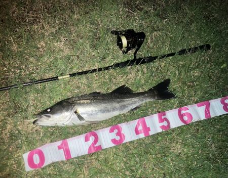 ががっときました。