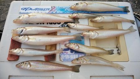 活性が上がらない播磨新島のキス