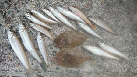 潮が動かない播磨新島