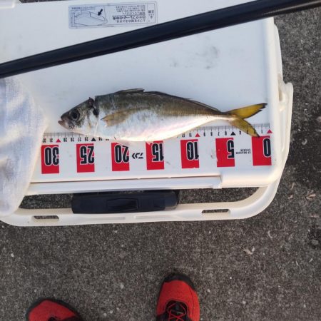 懲りずに水軒一文字へ。