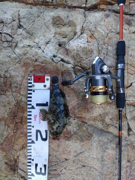 のんびりライトゲーム