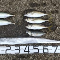 尺のオンパレード