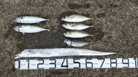 尺のオンパレード