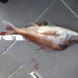 7月最後のタイラバ