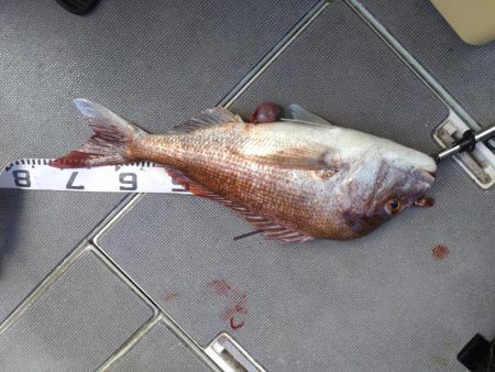 7月最後のタイラバ