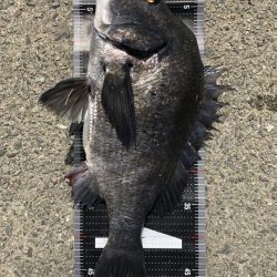 イチノ兄弟、釣果！