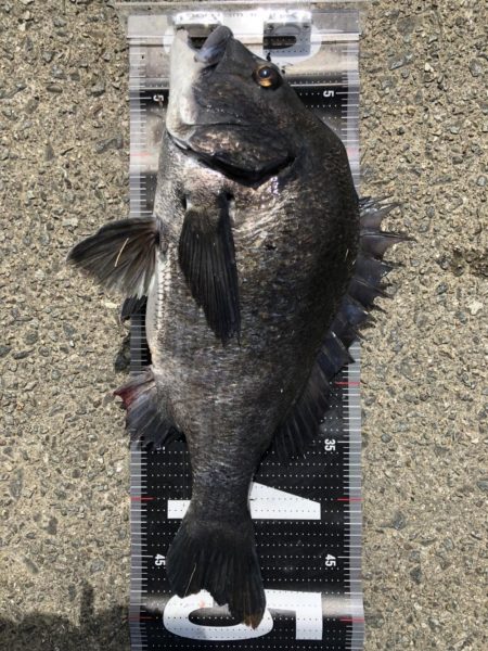 イチノ兄弟、釣果！