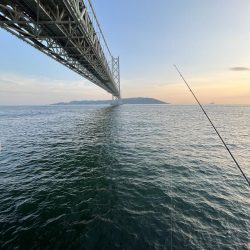 ひでりアジ渋い！