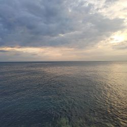 爆風エギング、メバリング