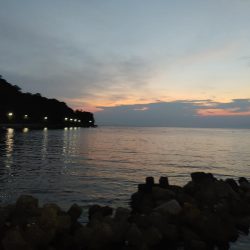 メバルはまだいるけど、イカがいない！