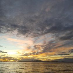 フロートとエギング