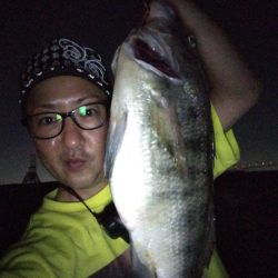 クロダイホイホイ