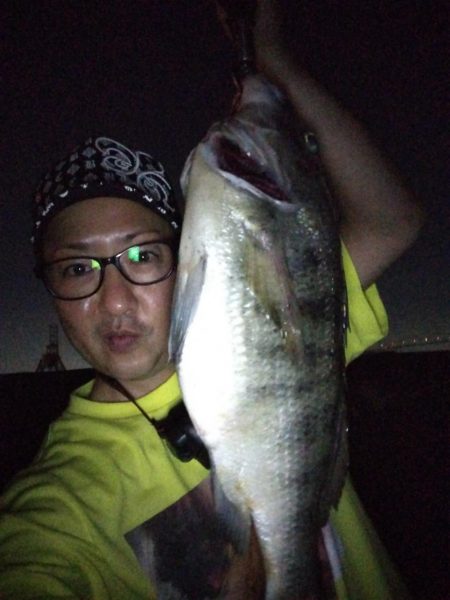 クロダイホイホイ