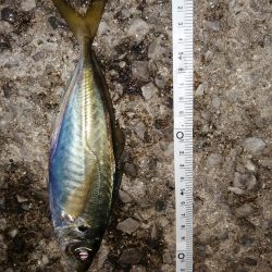 久しぶりの釣り