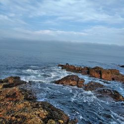 フカセ‥最高ですネ・・