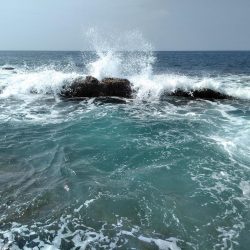 フカセ‥最高ですネ・・