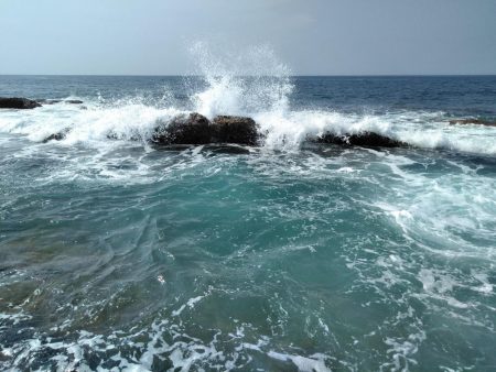 フカセ‥最高ですネ・・