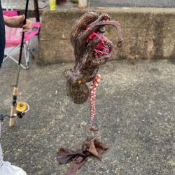 初タコ 食品コンビナート