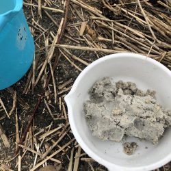 宇曽川濁流で釣果落ちてます