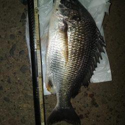 仕事終わりにサクッと