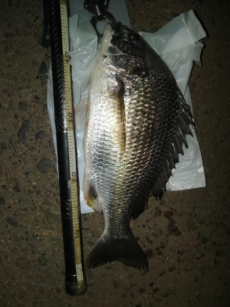 仕事終わりにサクッと