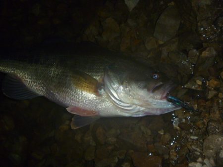 濁りバスその２