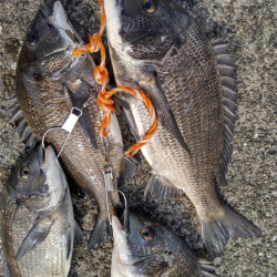 爆バク！はつのツヌケしました！