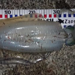 初キロアップ！